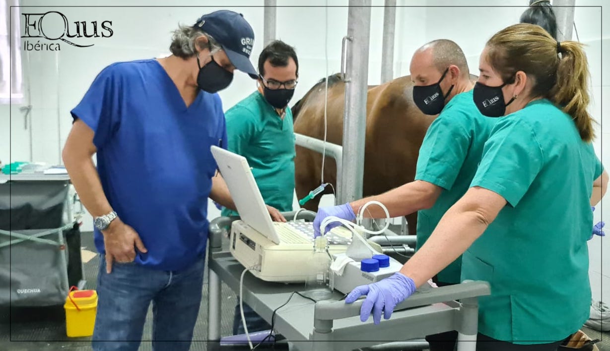 Diagnosticos y Tratamientos Equus Ibérica